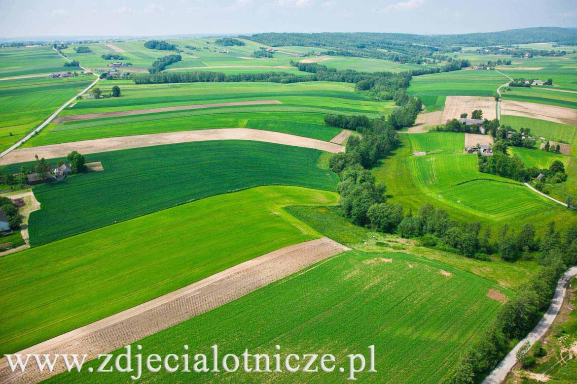 To najbiedniejsza wieś w województwie świętokrzyskim. Słynie z corocznego Święta Chleba