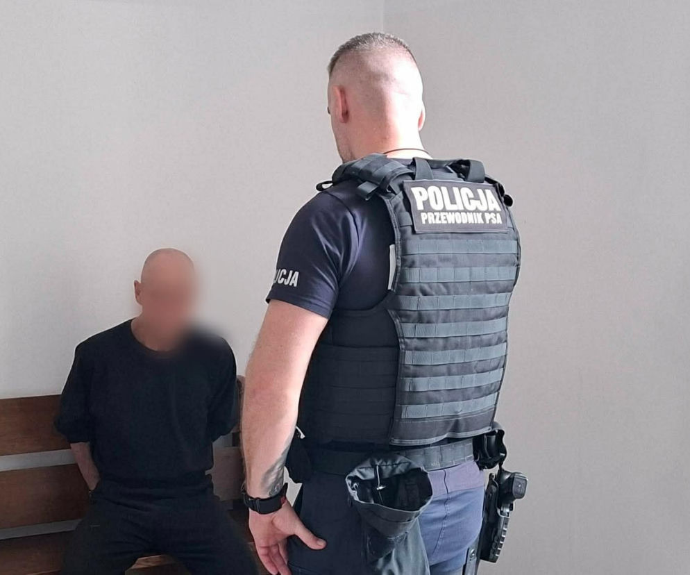 Kalisz. Zadał 17 ciosów nożem. Koniec śledztwa ws. zabójstwa 53-latki