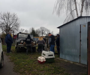 Interwencja OTOZ Animals w Suchym Dębie