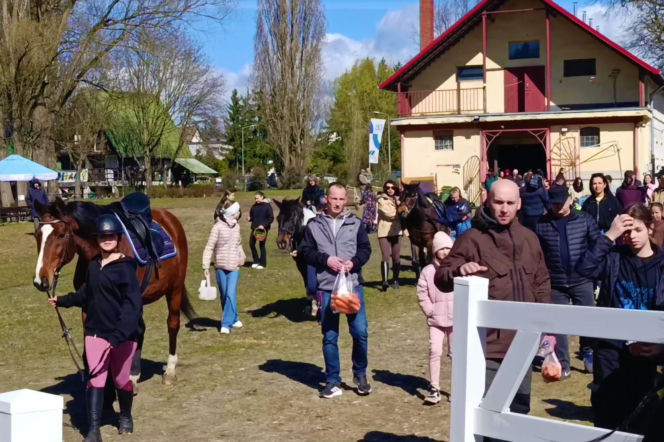 Konna święconka w Szczecinie