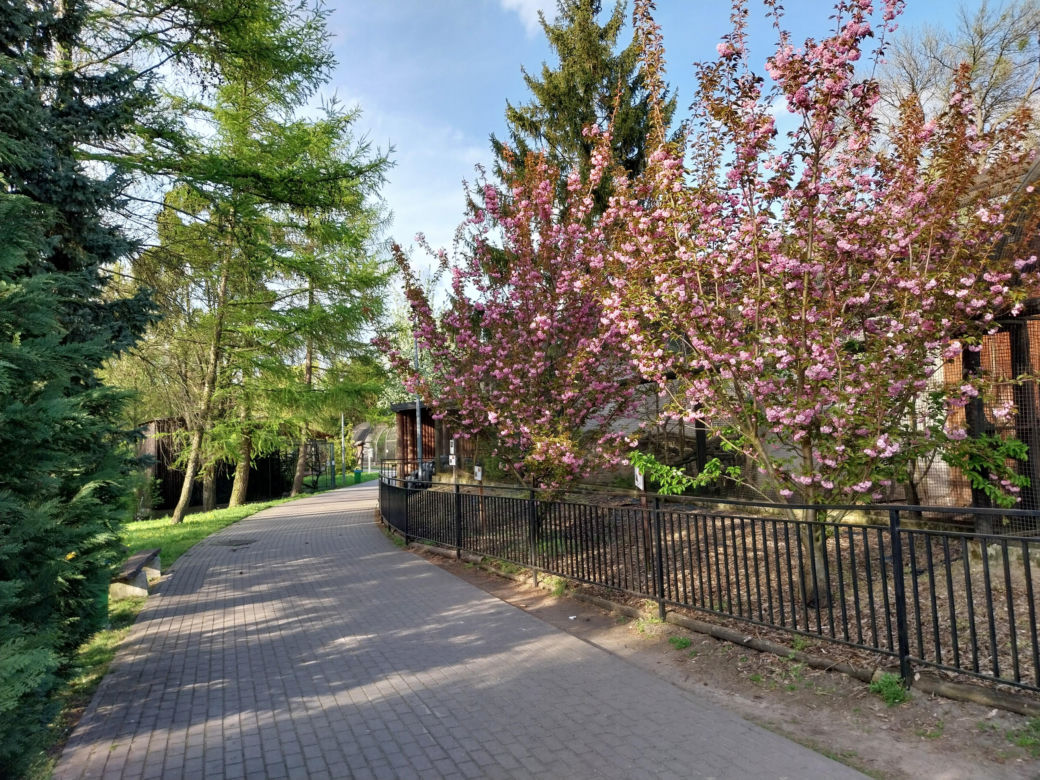 Wiosenny spacer w zamojskim zoo