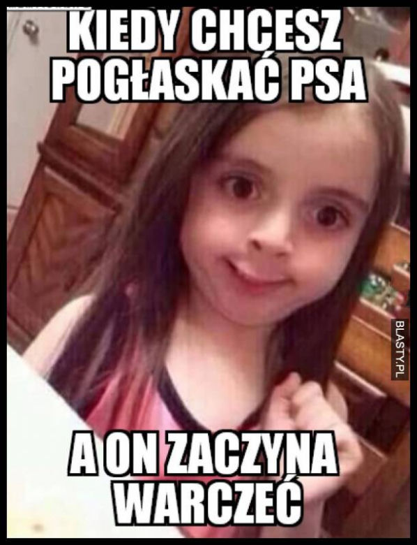 Dzień Psa 2026. Te memy pisało samo życie!