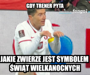MŚ 2022: Polska wygrywa ze Szwecją i jedzie na mundial. MEMY po meczu