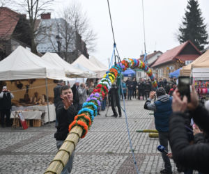 35 metrów i 80 centymetrów liczy palma, która zwyciężyła tegoroczny konkurs palm w Lipnicy Murowanej
