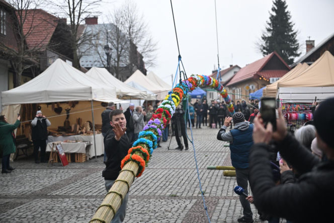 35 metrów i 80 centymetrów liczy palma, która zwyciężyła tegoroczny konkurs palm w Lipnicy Murowanej