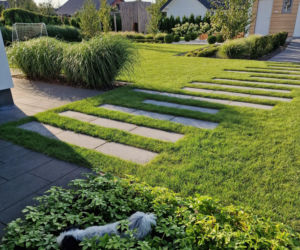 Nowoczesny ogród przed domem w Garwolinie. Wyróżniono go prestiżową nagrodą