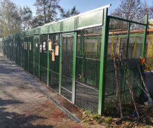 Budżet Obywatelski 2019 - Schronisko dla Bezdomnych Zwierząt w Toruniu może się cieszyć