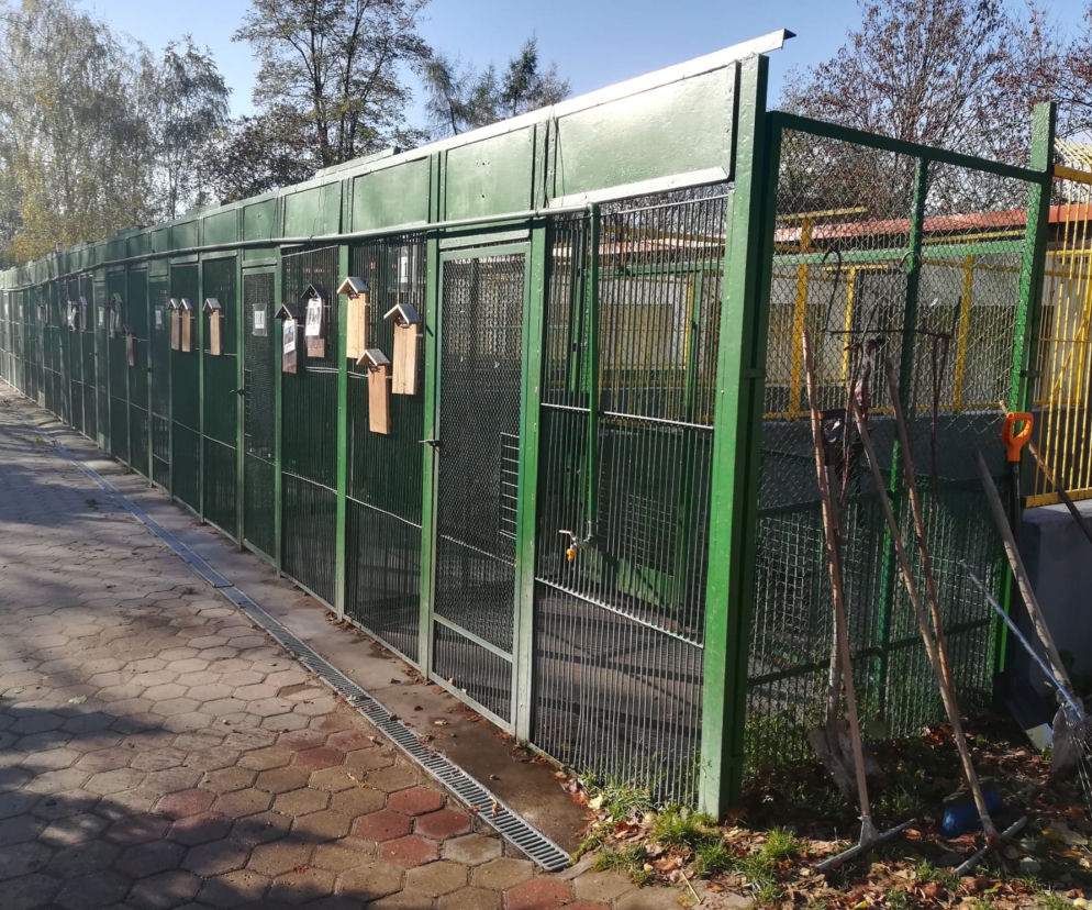 Budżet Obywatelski 2019 - Schronisko dla Bezdomnych Zwierząt w Toruniu może się cieszyć