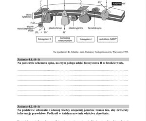 Matura próbna 2020 biologia, str.5