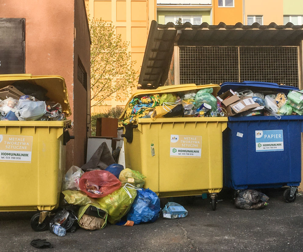 Bydgoszcz tonie w śmieciach. Będzie kolejna epidemia?