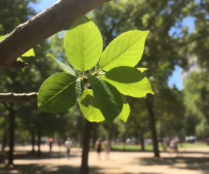 Temperatura w Rzeszowie poszybuje w górę. Finał weekendu będzie naprawdę gorący
