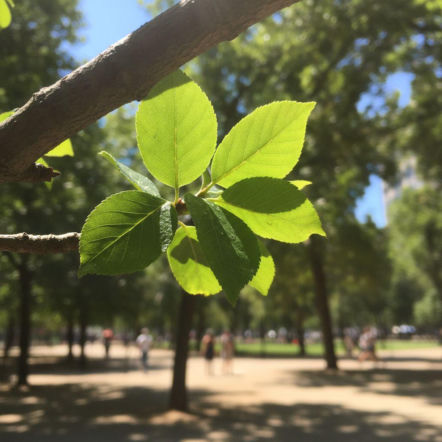 Temperatura w Rzeszowie poszybuje w górę. Finał weekendu będzie naprawdę gorący