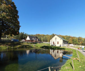 To najbardziej niedoceniona wieś w województwie śląskim. Jest tam szlak cudownych źródeł