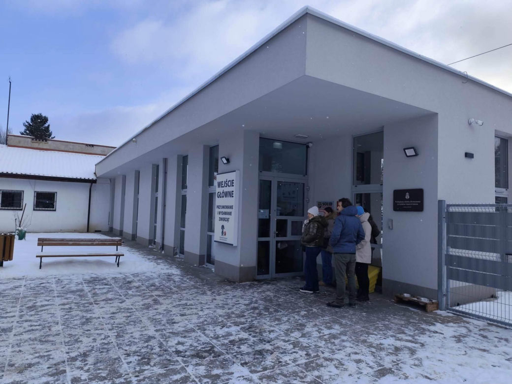 Los psiaka poruszył tysiące ludzi. 13-letnia Ksena ze schroniska w Krakowie wreszcie ma dom