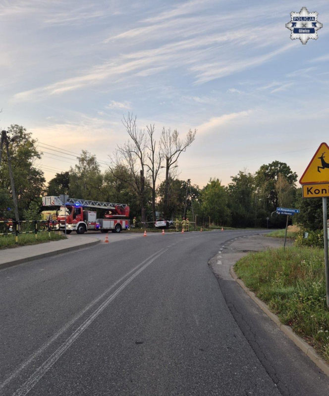 Kia zmiażdżona, kierowca nie żyje. Koszmarny wypadek w Gliwicach
