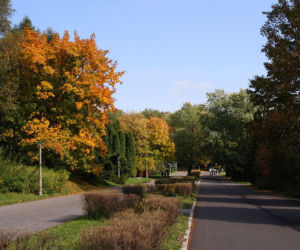 Park Śląski w Chorzowie