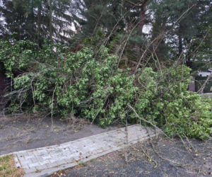 Burze nad Polską. Setki interwencji, tysiące domów bez prądu. IMGW ostrzega. Gdzie będzie najgorzej?