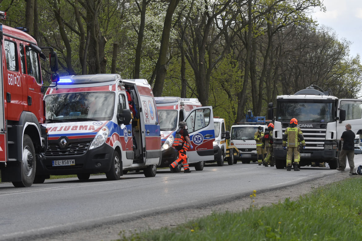 Łoś uderzył w motor przed rondem w Zielonce 