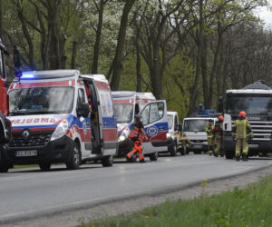 Łoś uderzył w motor przed rondem w Zielonce 
