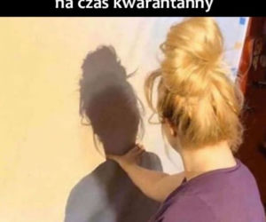 Memy o kwarantannie