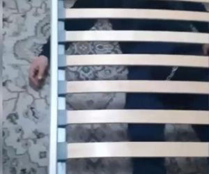 Zaszlachtował maczetą w Łodzi, wpadł w Małopolsce. Kontrterroryści w akcji