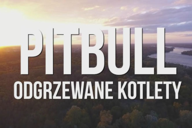 Pitbull: parodia lepsza niż oryginał? [VIDEO]