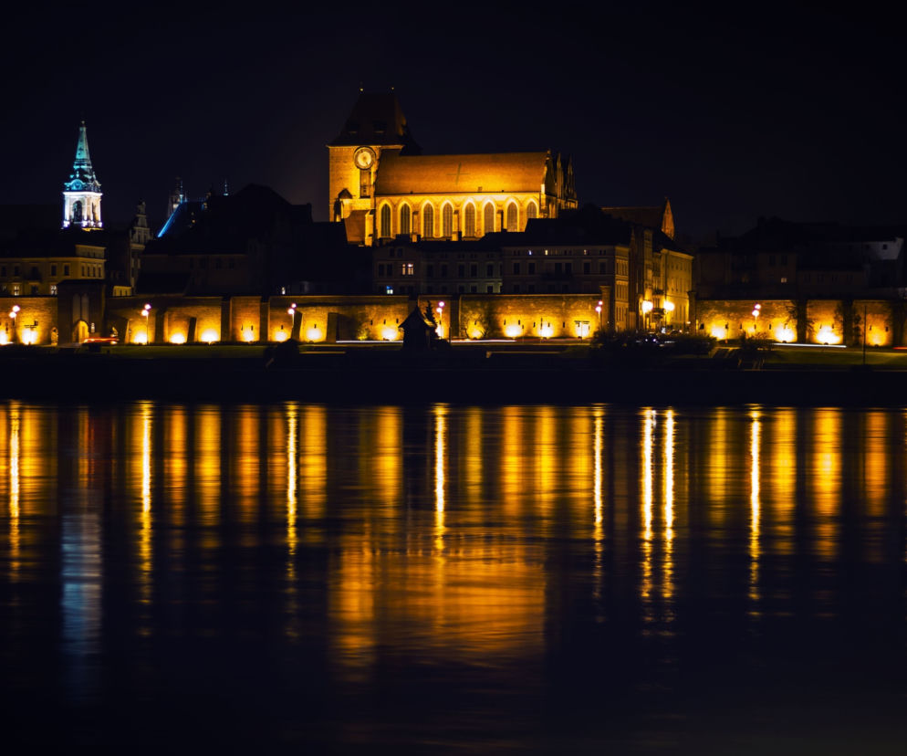 Piękna panorama Torunia