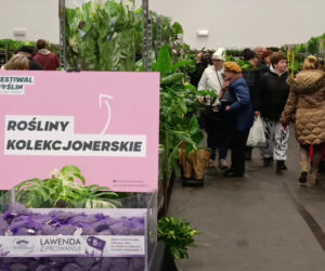 Oblężenie Enea Areny. Ludzie wychodzili z pełnymi torbami