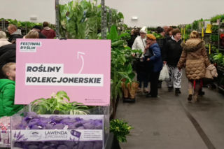 Oblężenie Enea Areny. Ludzie wychodzili z pełnymi torbami