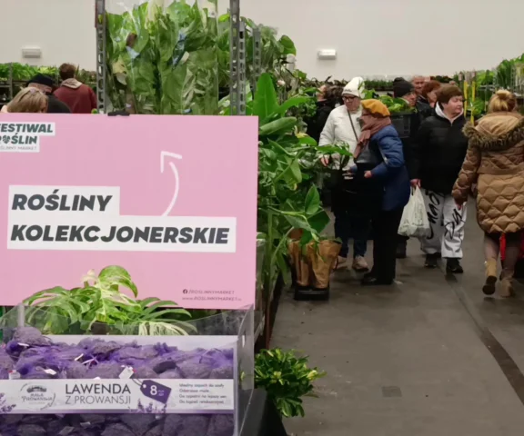 Oblężenie Enea Areny. Ludzie wychodzili z pełnymi torbami