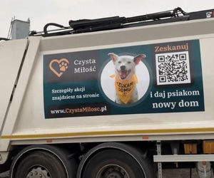 Ruszyła akcja „Czysta Miłość”