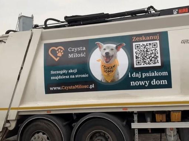 ​Śmieciarki ze zdjęciami psów wyjechały na ulice Leszna. Ruszyła akcja „Czysta Miłość”