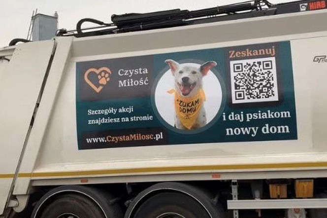 ​Śmieciarki ze zdjęciami psów wyjechały na ulice Leszna. Ruszyła akcja „Czysta Miłość”