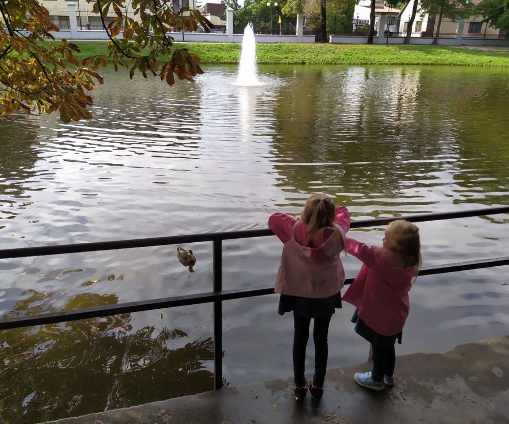 Wkrótce wygląd siedleckiego parku diametralnie się zmieni