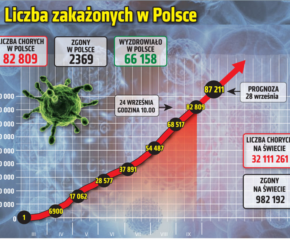 Koronawirus w Polsce. Statystyki, wykresy, grafiki (24 września)