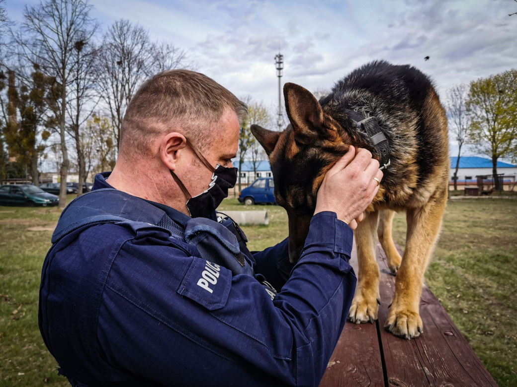 Trop zawiódł go na wysłużoną emeryturę. Cezar odchodzi z policji