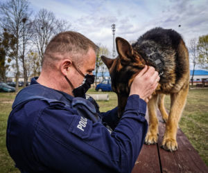 Trop zawiódł go na wysłużoną emeryturę. Cezar odchodzi z policji