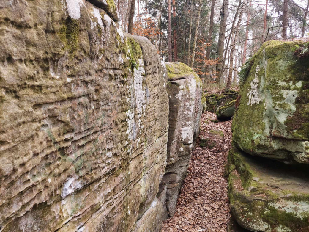 Rezerwat Przyrody "Skały pod Adamowem"