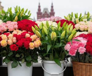 Krakowskie kwiaciarki znikną z Rynku? Tradycja kontra przetarg