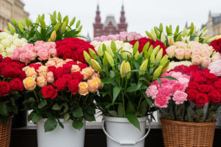 Krakowskie kwiaciarki. Czy symbol miasta zniknie na zawsze?