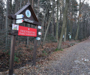 Nowa brama do królestwa Łysicy. Inwestycja w Świętej Katarzynie podnosi standardy turystyki w ŚPN