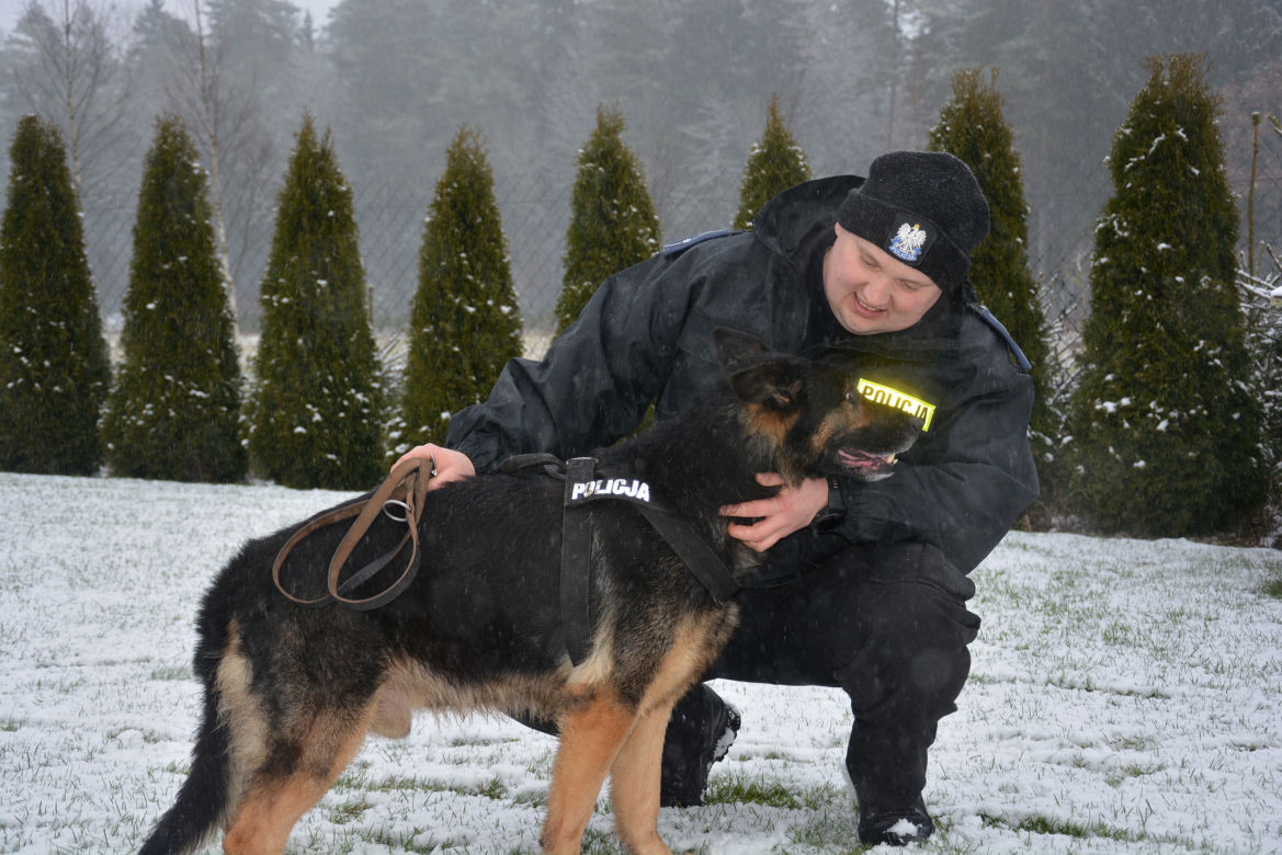 Tazer, policjant na 4 łapach, przeszedł na emeryturę