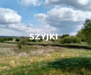 Szyjki