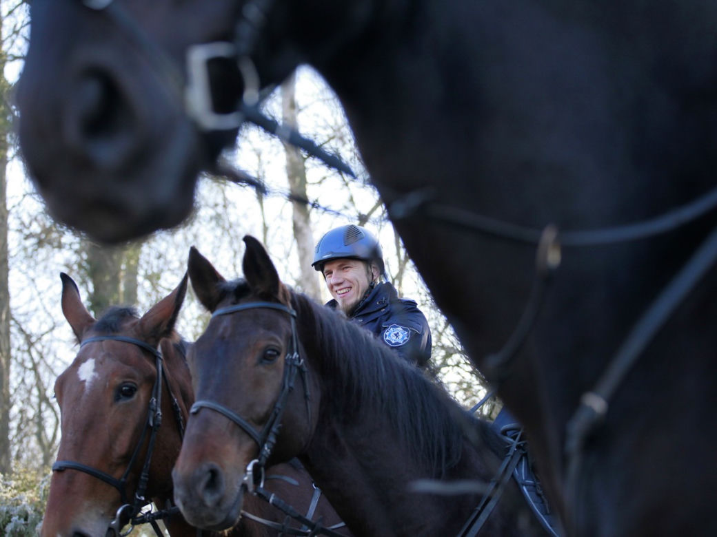 Policja konna z Poznania ma nowego współpracownika
