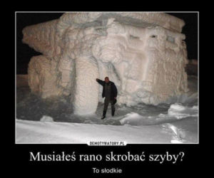 Mróz memy