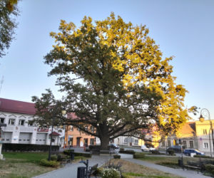 To miasto w województwie małopolskim ma jeden z najpiękniejszych rynków. Olśniewa również zabytkowym ratuszem