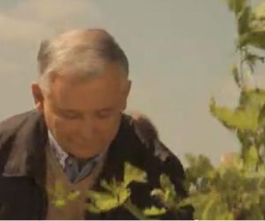Spot wyborczy Jarosława Kaczyńskiego 