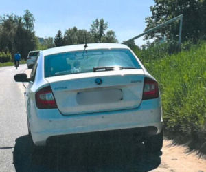 Dewastacja wałów przeciwpowodziowych pod Wrocławiem