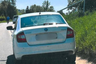 Dewastacja wałów przeciwpowodziowych pod Wrocławiem