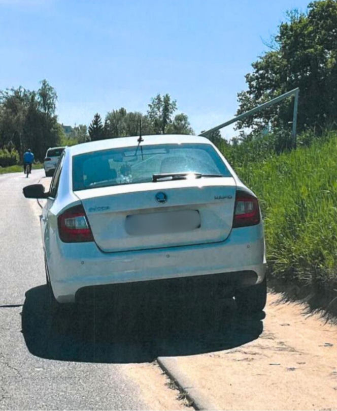 Dewastacja wałów przeciwpowodziowych pod Wrocławiem